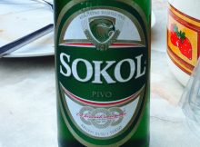 Sokol svjetlo Pivo